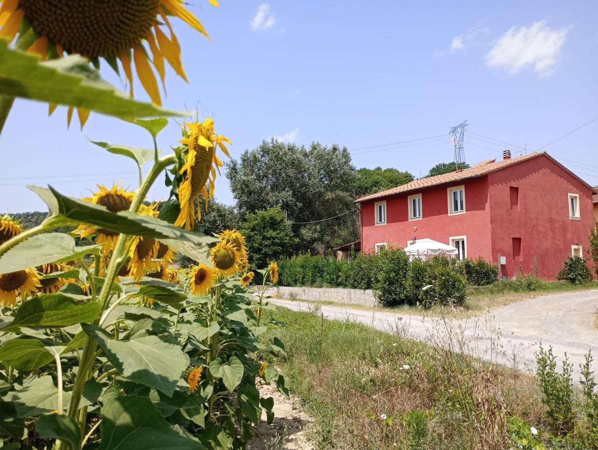 Bed and Breakfast La Casa Rossa Coiano Exteriér fotografie